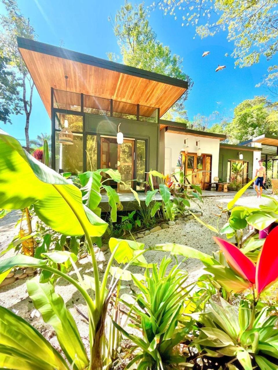 Ikiru House Villa Playa Santa Teresa  Ngoại thất bức ảnh